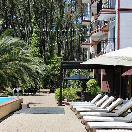 Iveria Elli Hotel Шекветили Экстерьер фото